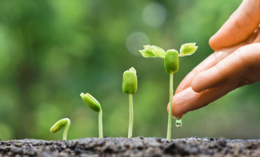 3308维多利亚线路检测中心(中国)有限公司