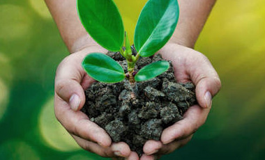 3308维多利亚线路检测中心(中国)有限公司