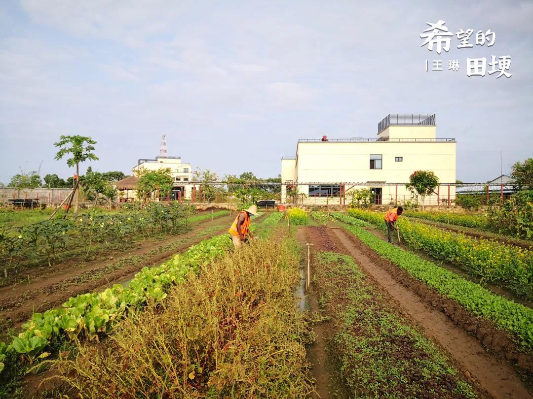 3308维多利亚线路检测中心(中国)有限公司